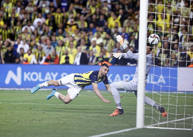 率实现的 率实现的