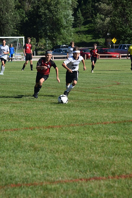 赛的一大看 赛的一大看