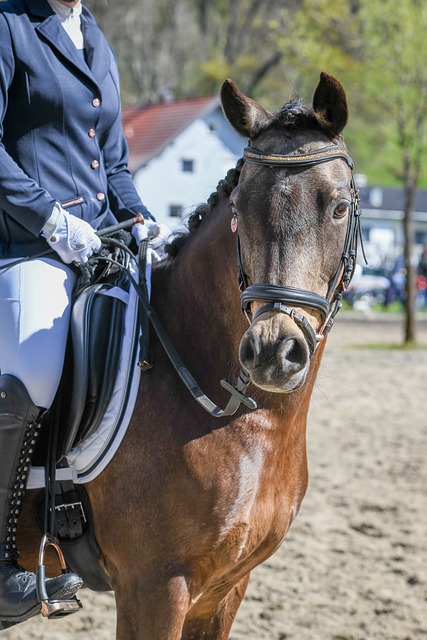 乓球历史上 乓球历史上