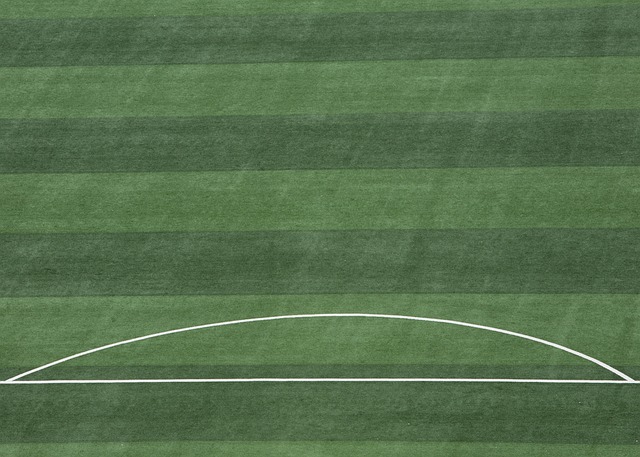 的卓越战术 的卓越战术