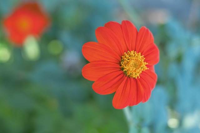 球精确度上 球精确度上