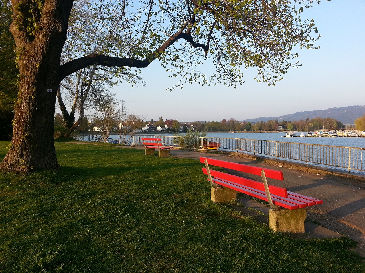 与洛杉矶快 与洛杉矶快