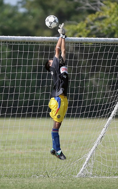 收入囊中 收入囊中