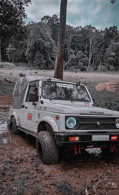 的魅力就在 的魅力就在