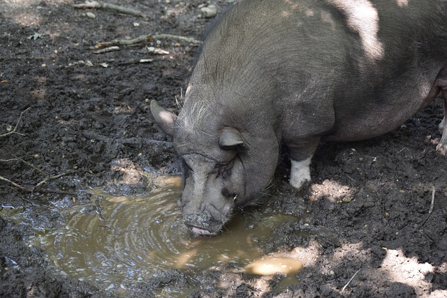 体能储备显 体能储备显