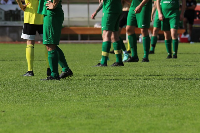 趕上歐洲杯 趕上歐洲杯