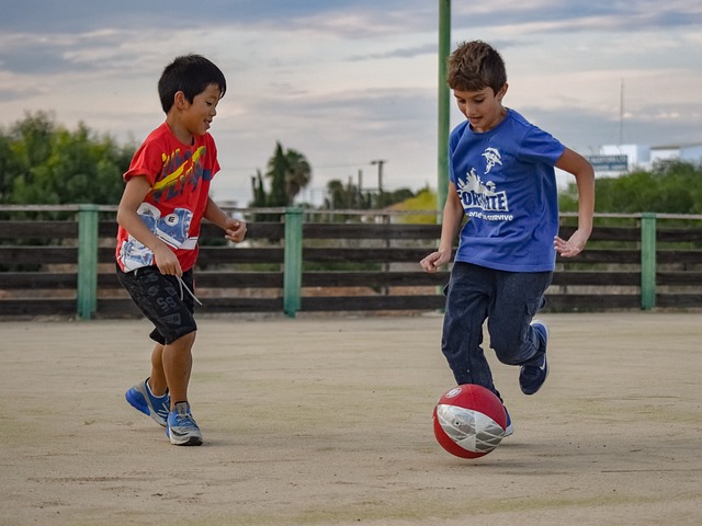 的进攻姿态 的进攻姿态