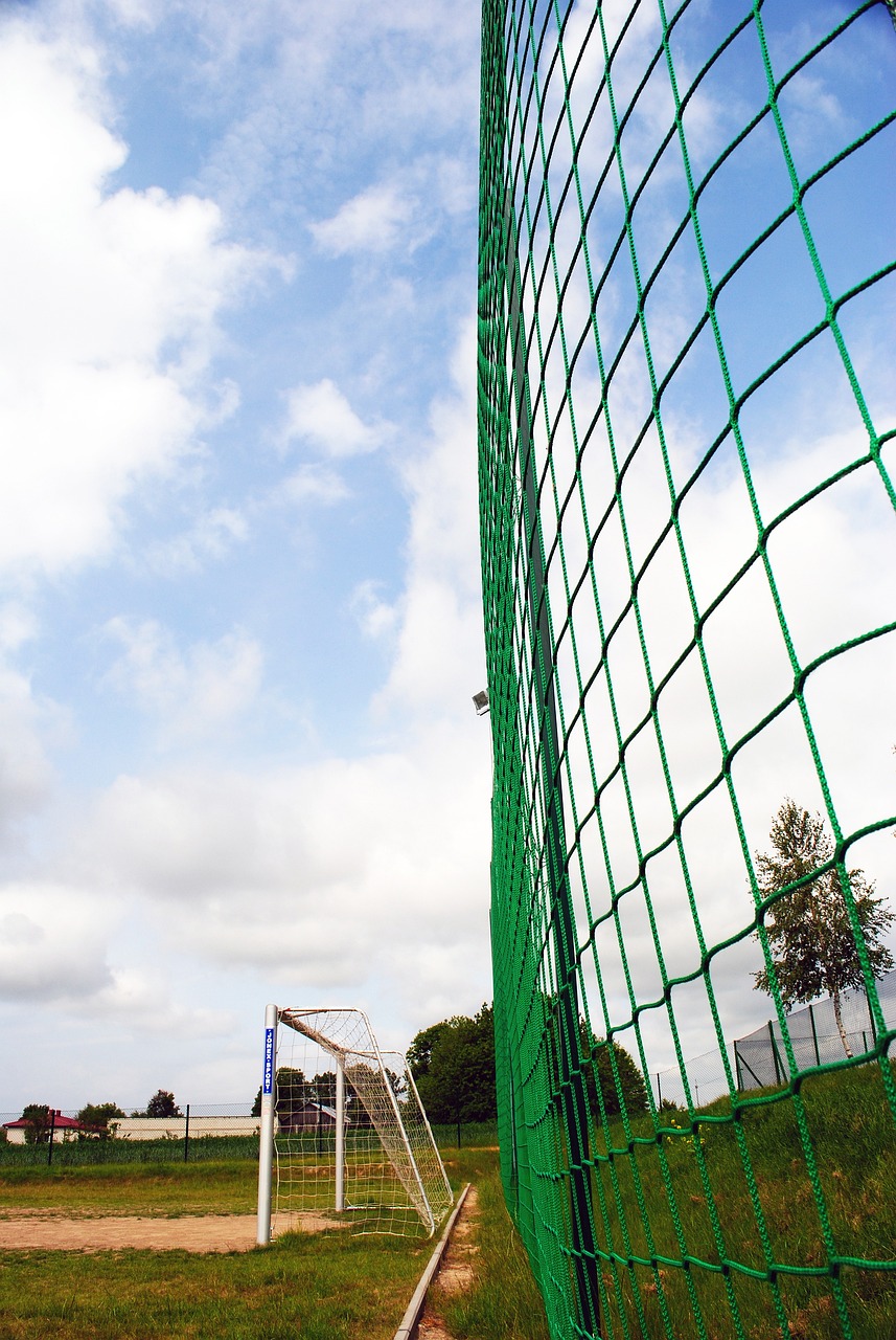 部都對這兩 部都對這兩