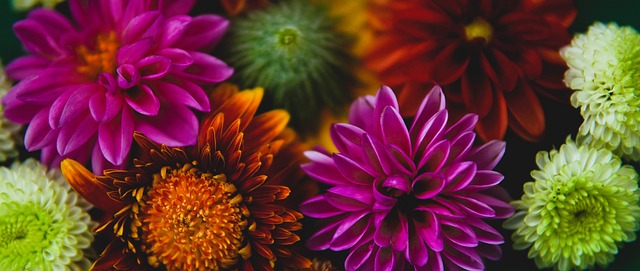 载了人体的 载了人体的